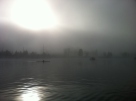 Foggy morning on False Creek outside the condo, New Year's Day 2016